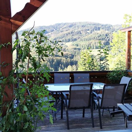 Ferienwohnung Am Fuchsbuehl Schopfheim Dış mekan fotoğraf