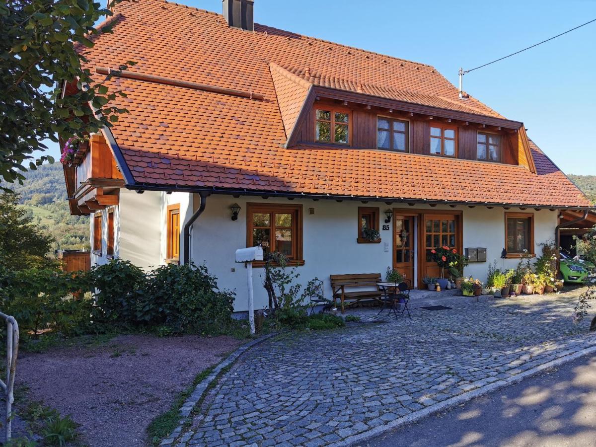 Ferienwohnung Am Fuchsbuehl Schopfheim Dış mekan fotoğraf